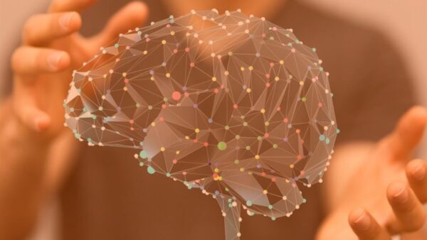 formation accompagnement neuro émotionnel